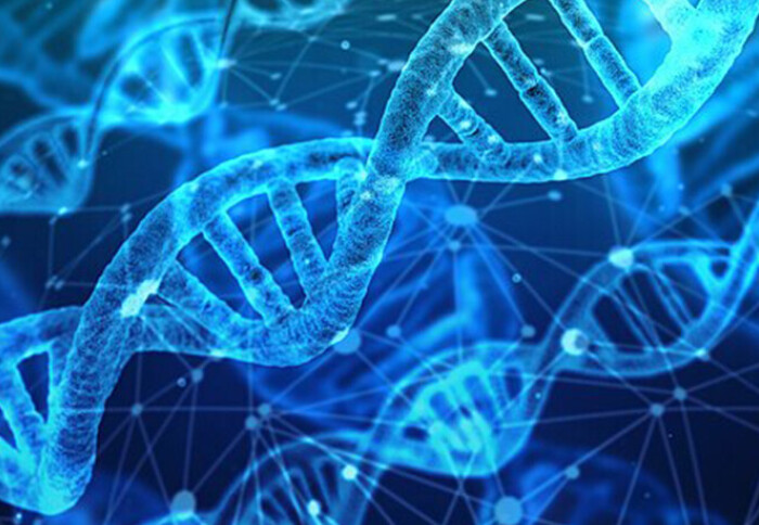 Image of a double helix DNA structure.