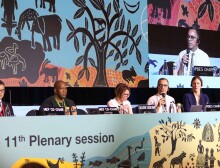 Panellists at the 11th plenary session in Namibia