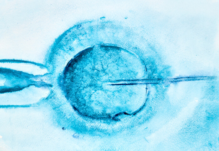 Process of a artificial insemination