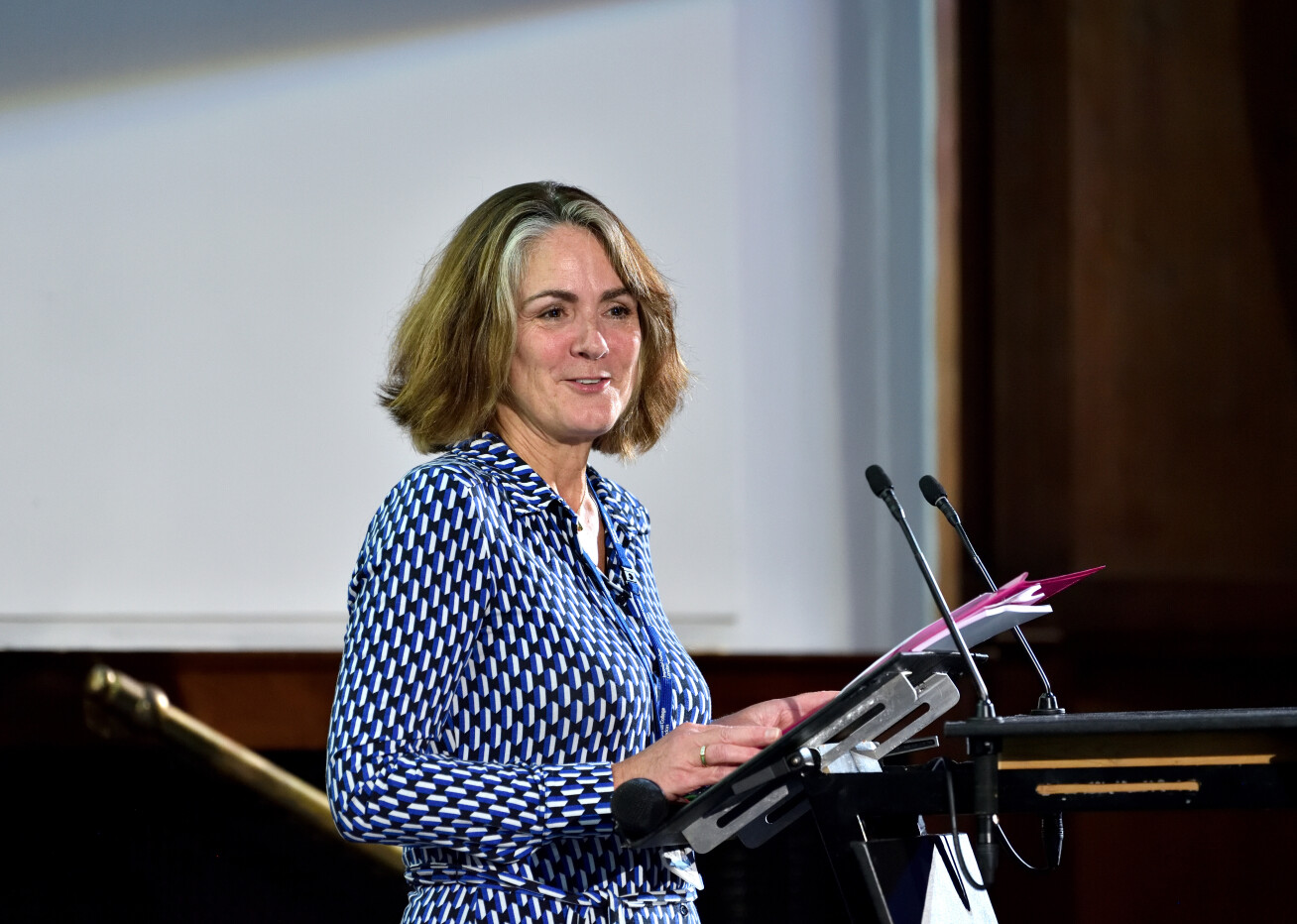 Professor Mary Wells talking at the event