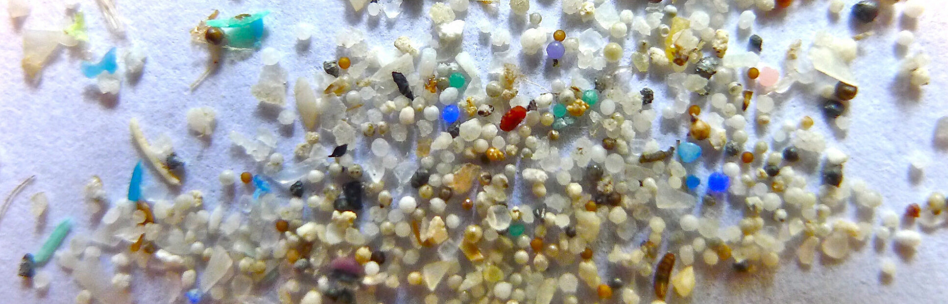 Microplastics. Image credit: Oregon State University Flickr