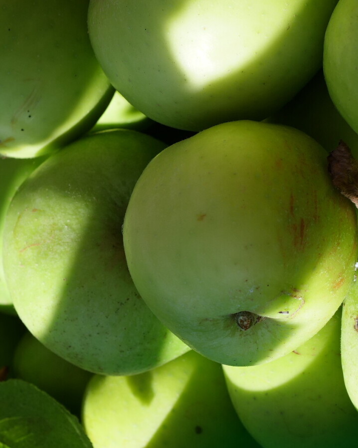 Green apples