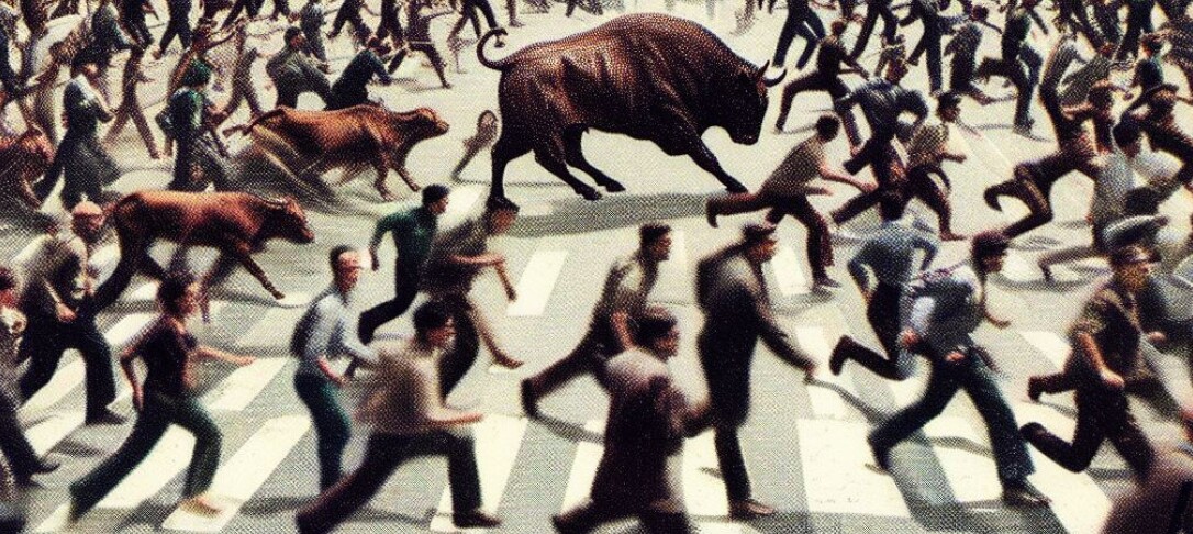 Pedestrians and Bulls