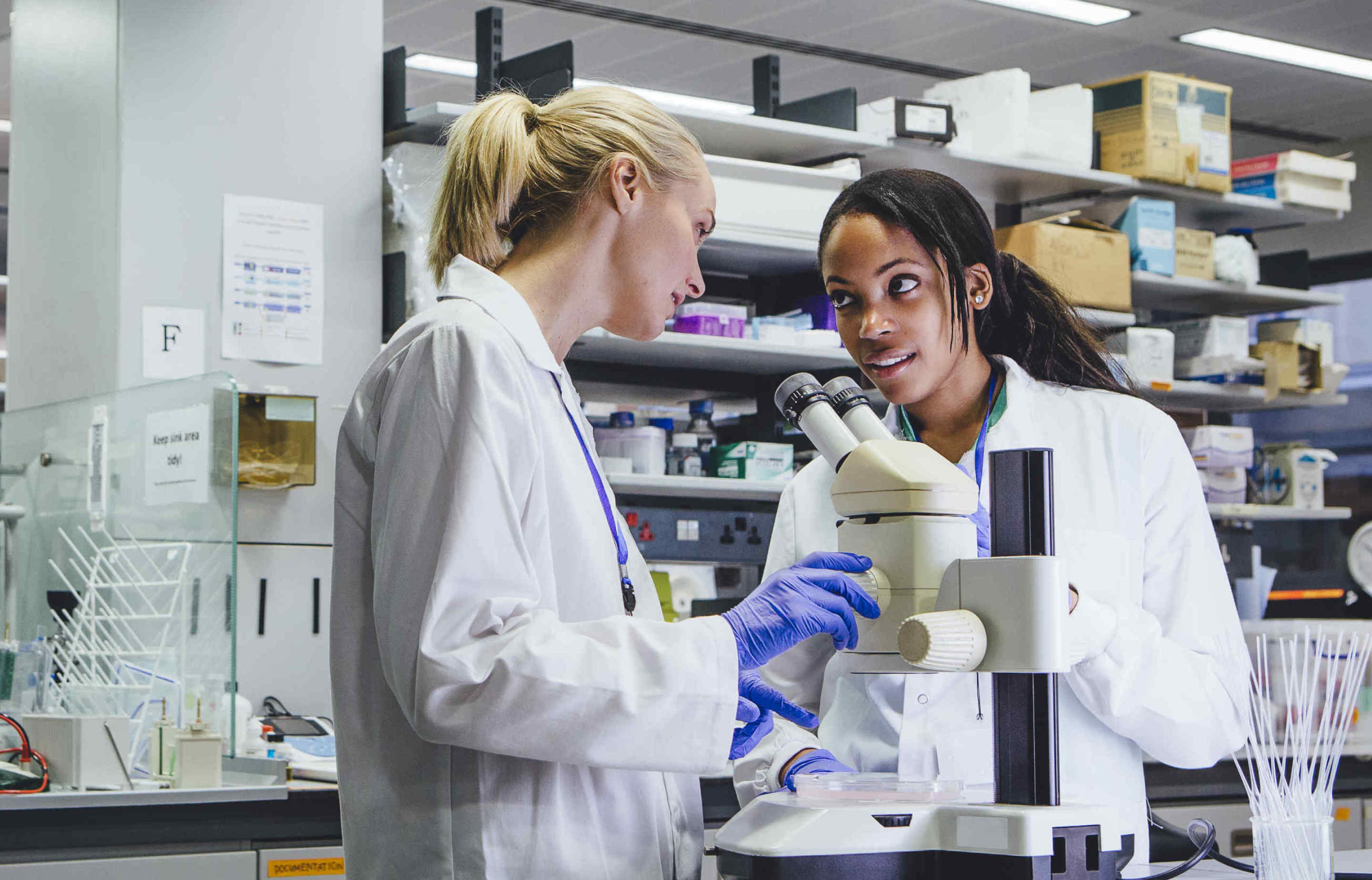 Faculty Of Medicine | Imperial College London