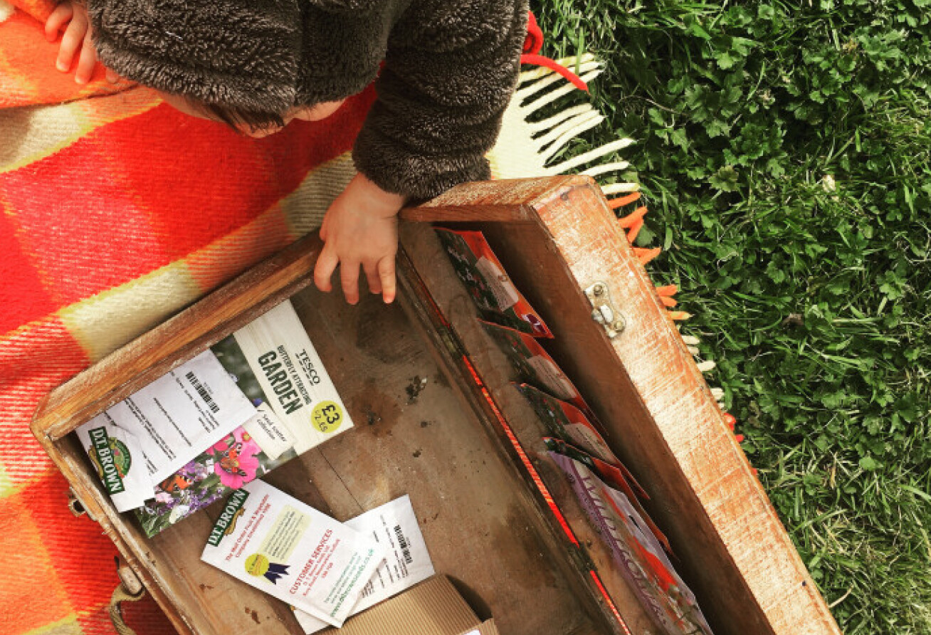 A box containing seeds for growing flowers or plants in a garden.