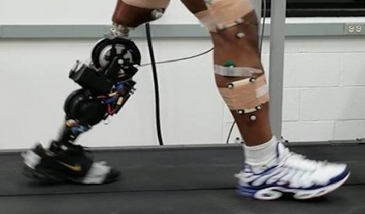 From Kinematic to Energetic Control of Wearable Robots for Agile Human ...