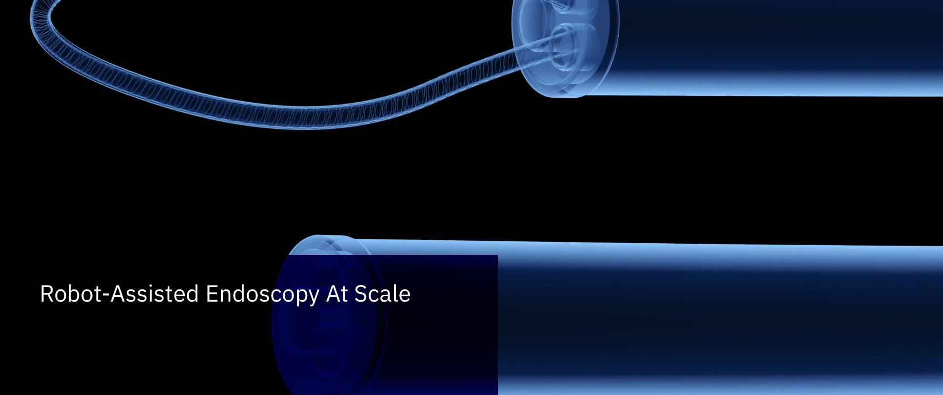 HSMR21 Workshop- 'Robot-Assisted Endoscopy At Scale'