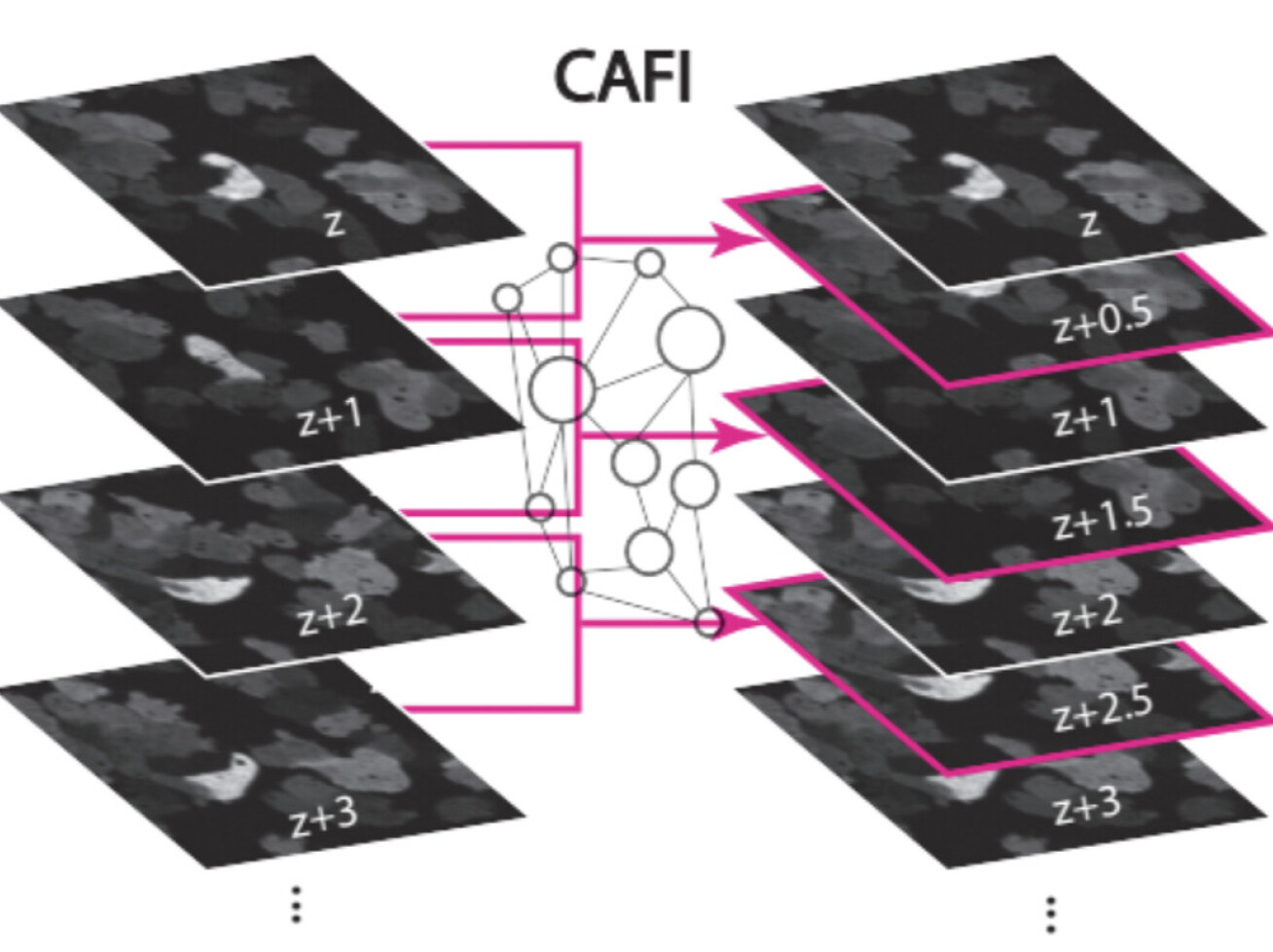 A schematic representation of CAFI – which inserts new interpolated images in between consecutive frames.