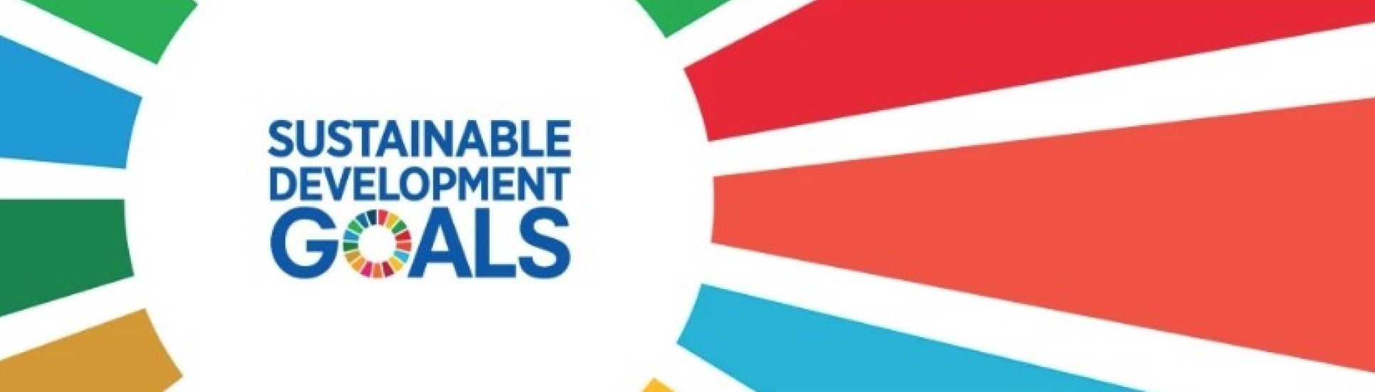 SDG logo 