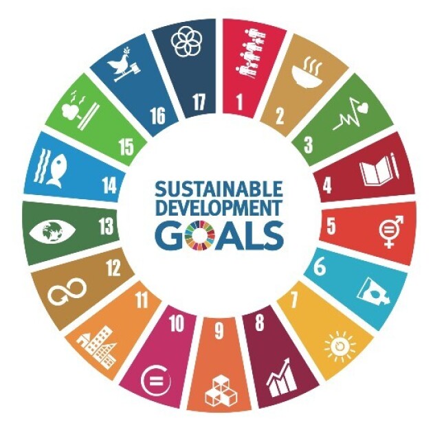 A chart showing the UN's Sustainable Development Goals.