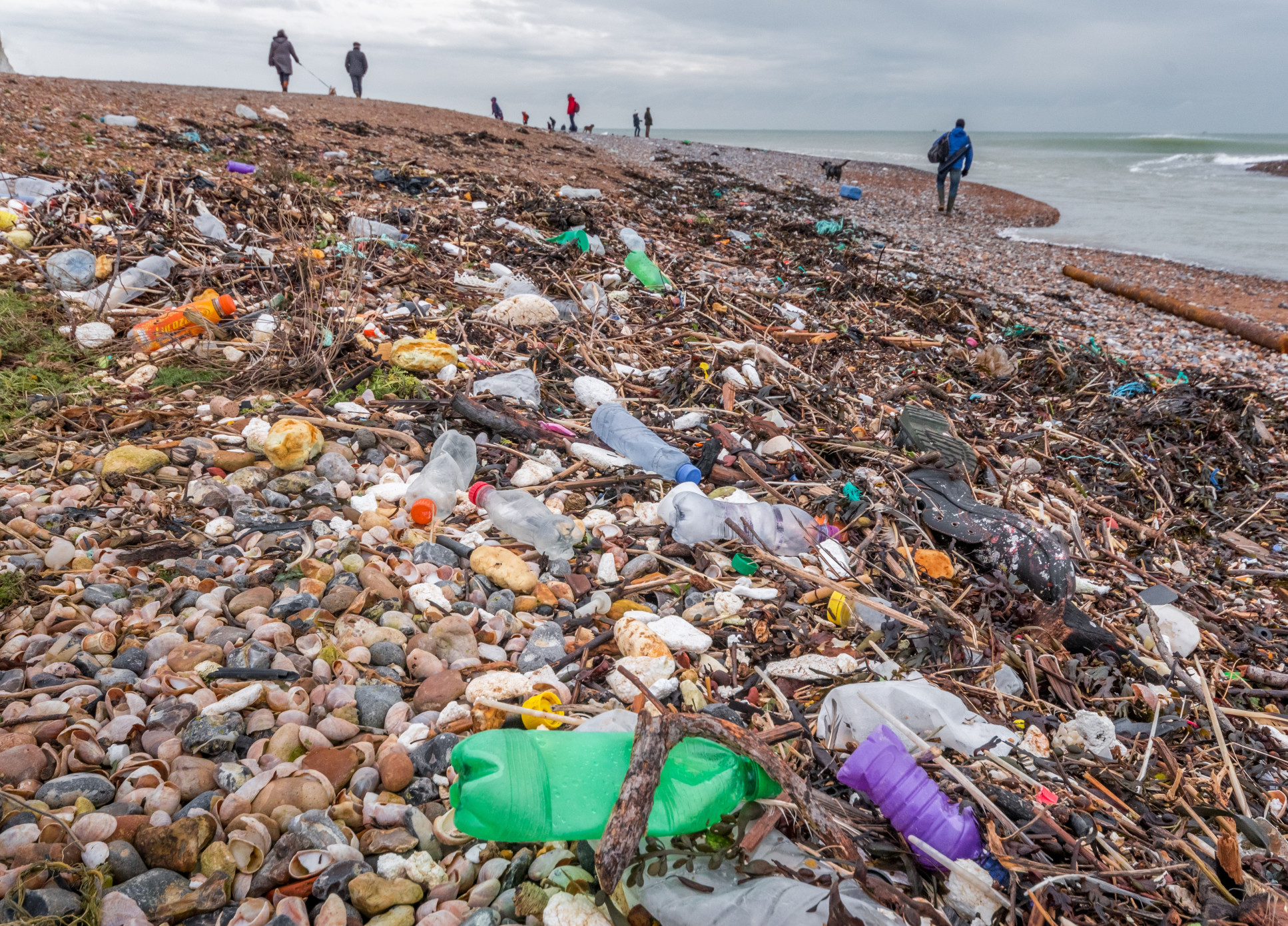 Plastic pollution on a beach in East Sussex