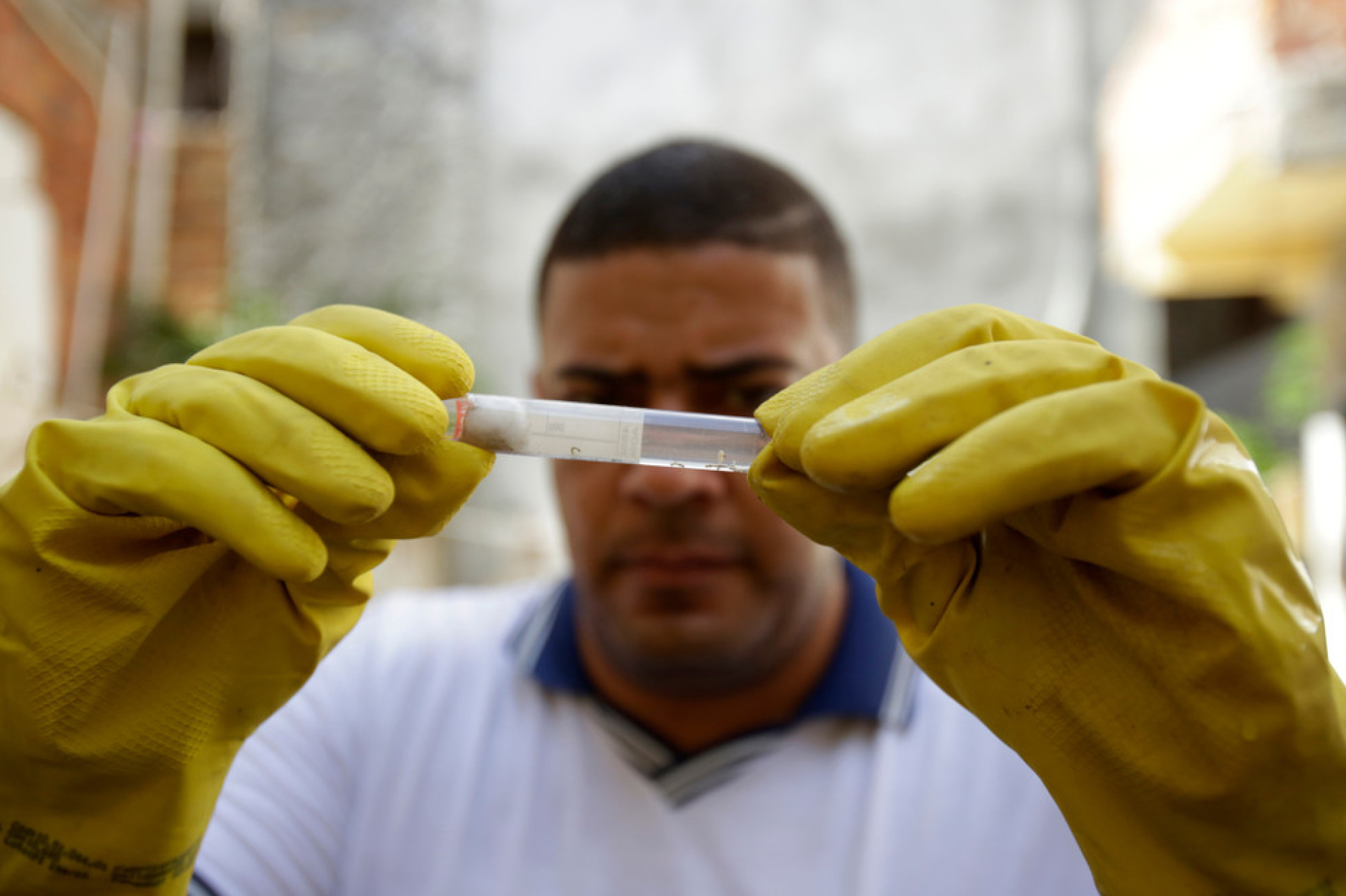 Health agents collecting sample of Aedes aegypti mosquito larva during a survey in Salvador, Brazil
