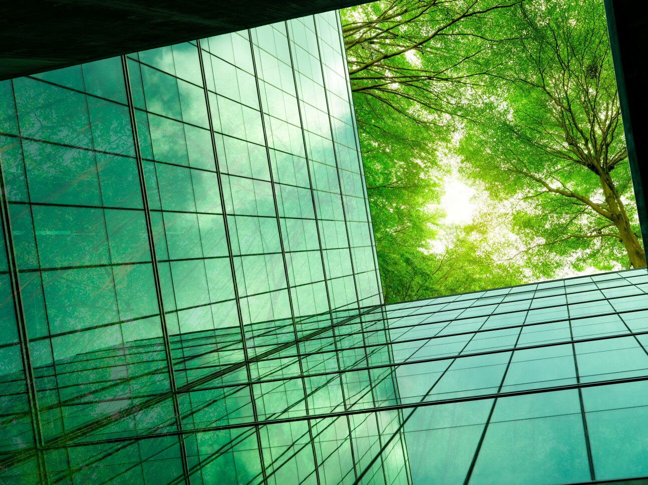 A green building, to reflect sustainability