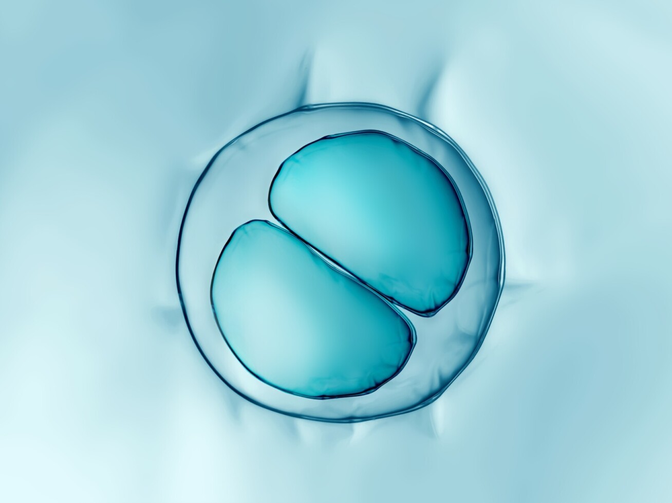 CGI picture of a cell dividing into two cells.