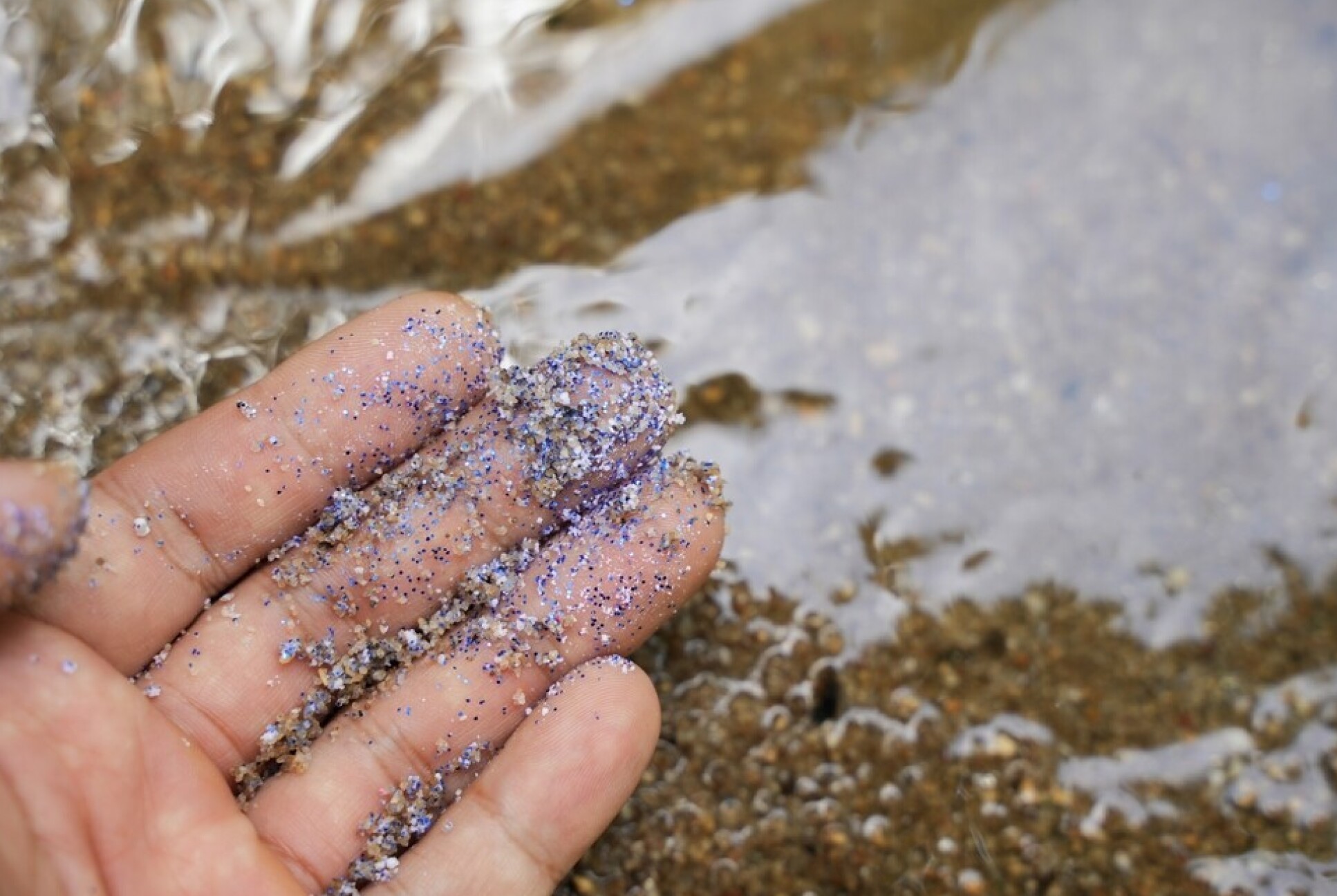Fingers smeared in microplastics with a beach and ocean in the background