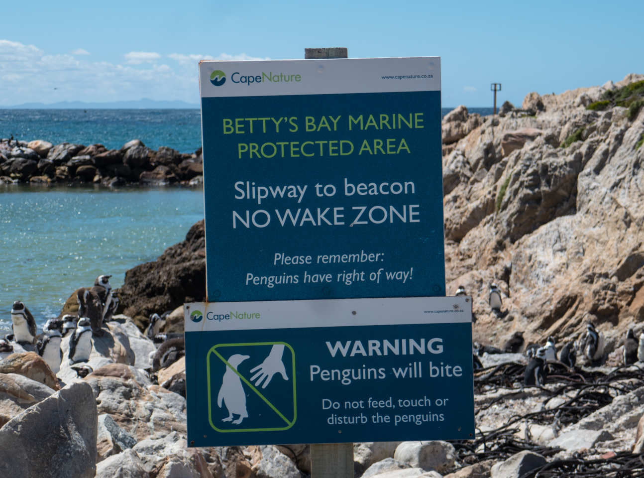 A sign for a marine protected area (with a warning that penguins will bite)