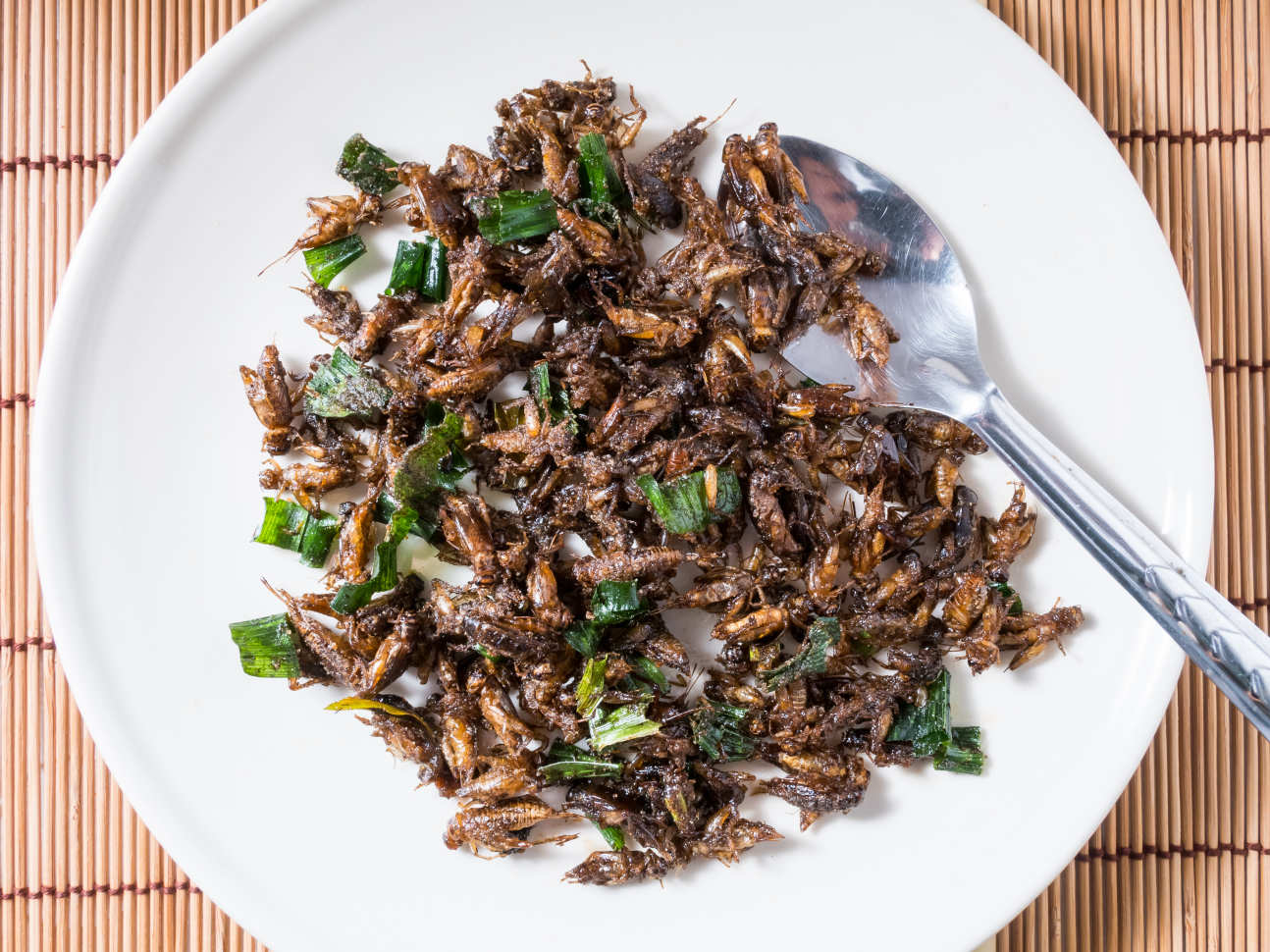 bugs on a plate