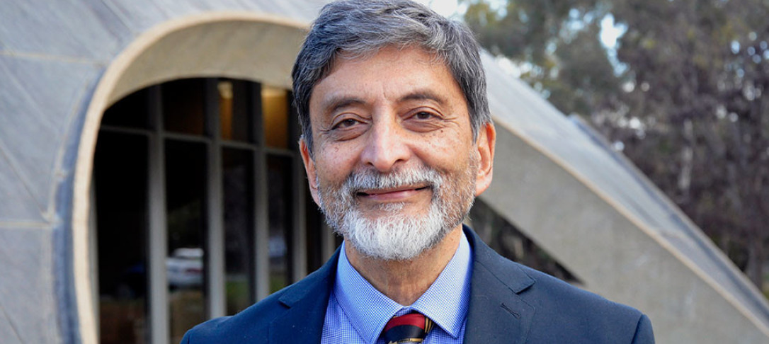 Portrait of Professor Mandyam V. Srinivasan