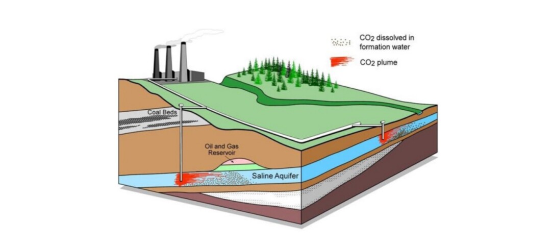 Diagram of subsurface carbon storage system.