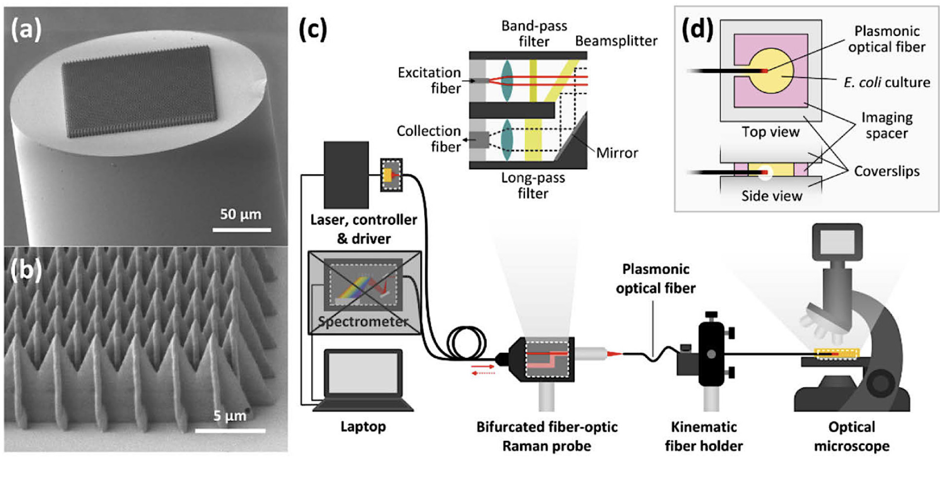 The fabricated plasmonic optical fiber images and experimental setup