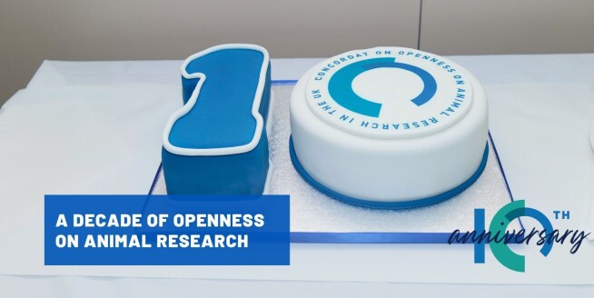 Cake in the shape of a 10. Word sread: a decade of openness on animal research