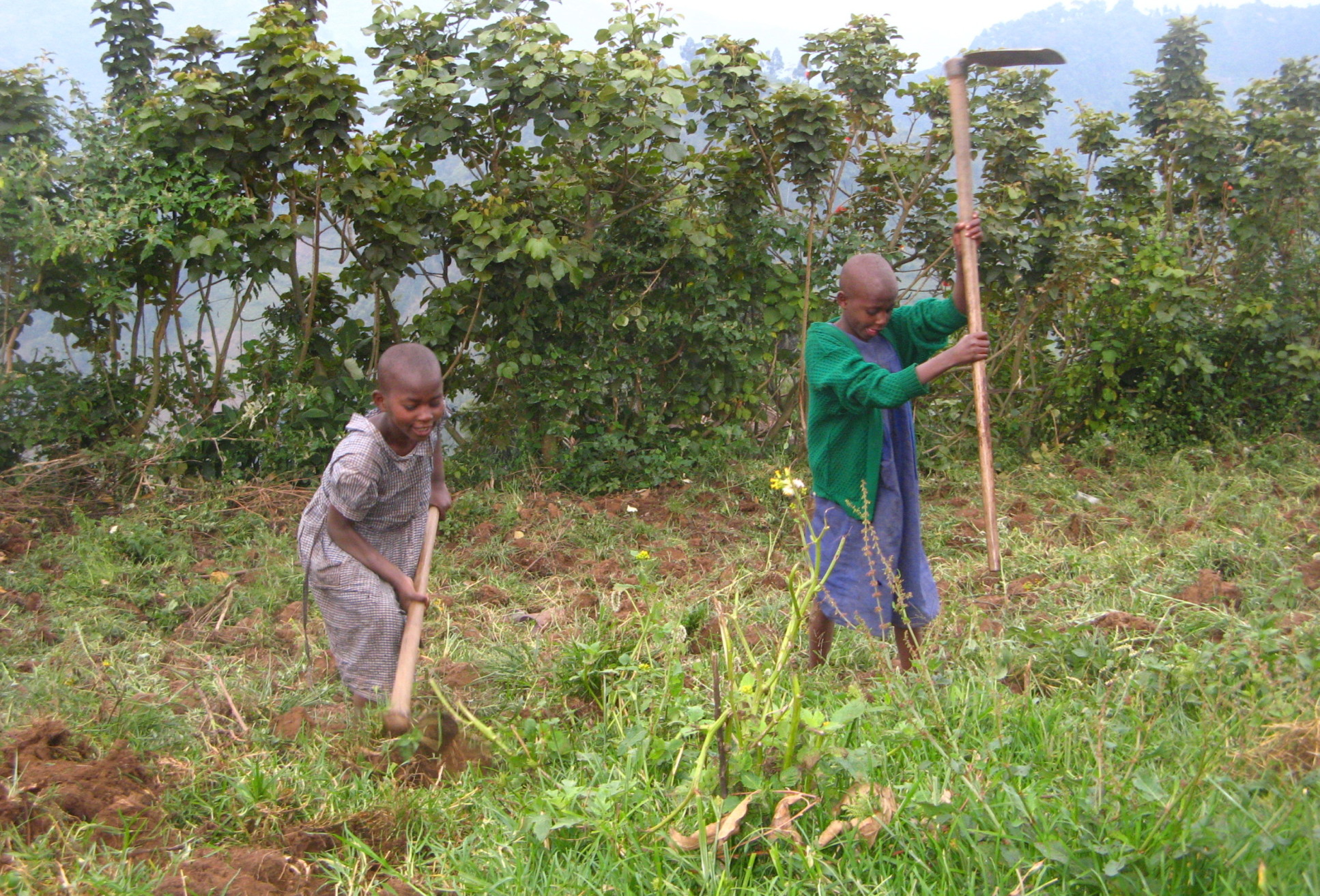 Two Ugandan children digging a field