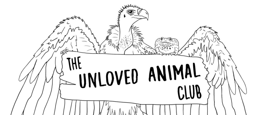 Unloved animal club illustration