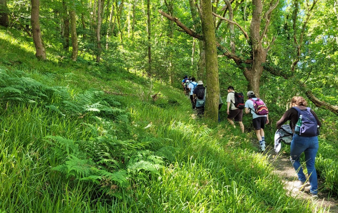 Walk in Snowdonia