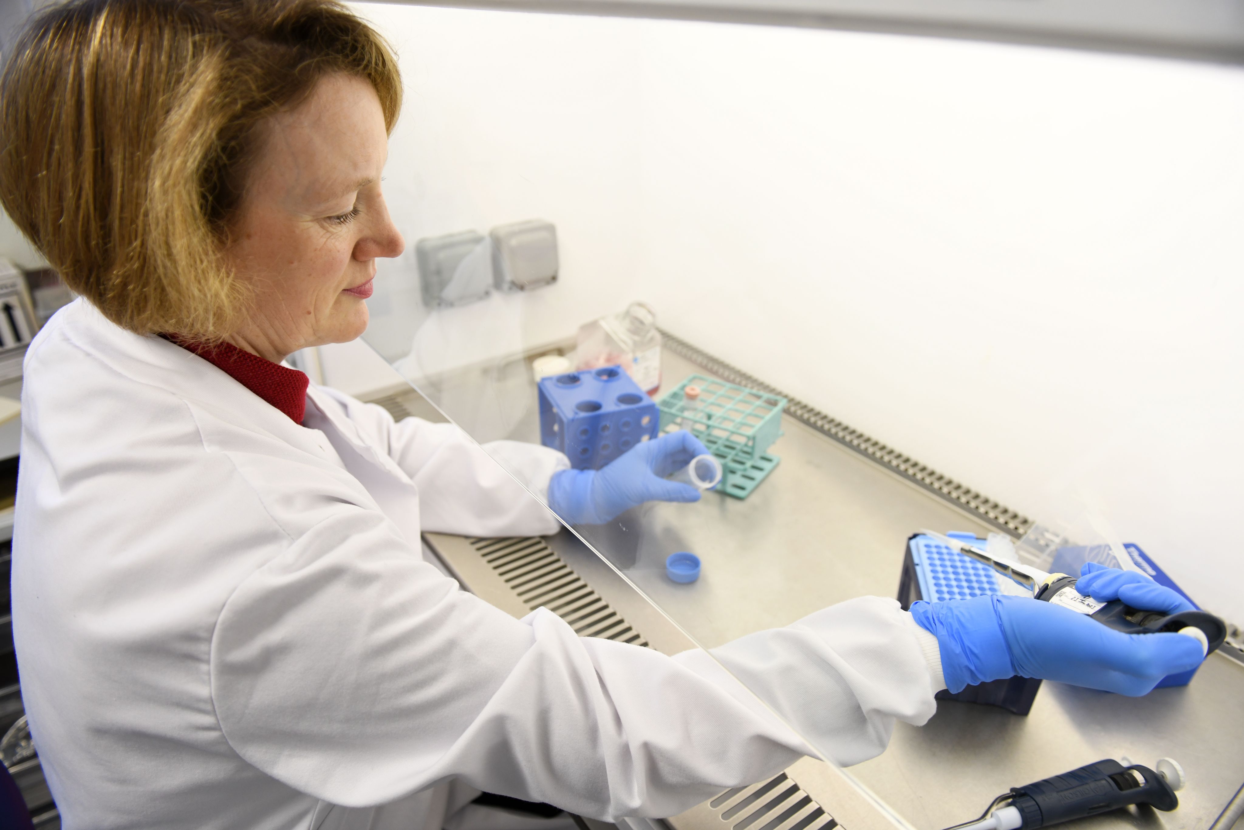 Woman looking into a microscope in a lab, with mosquito photos in the background