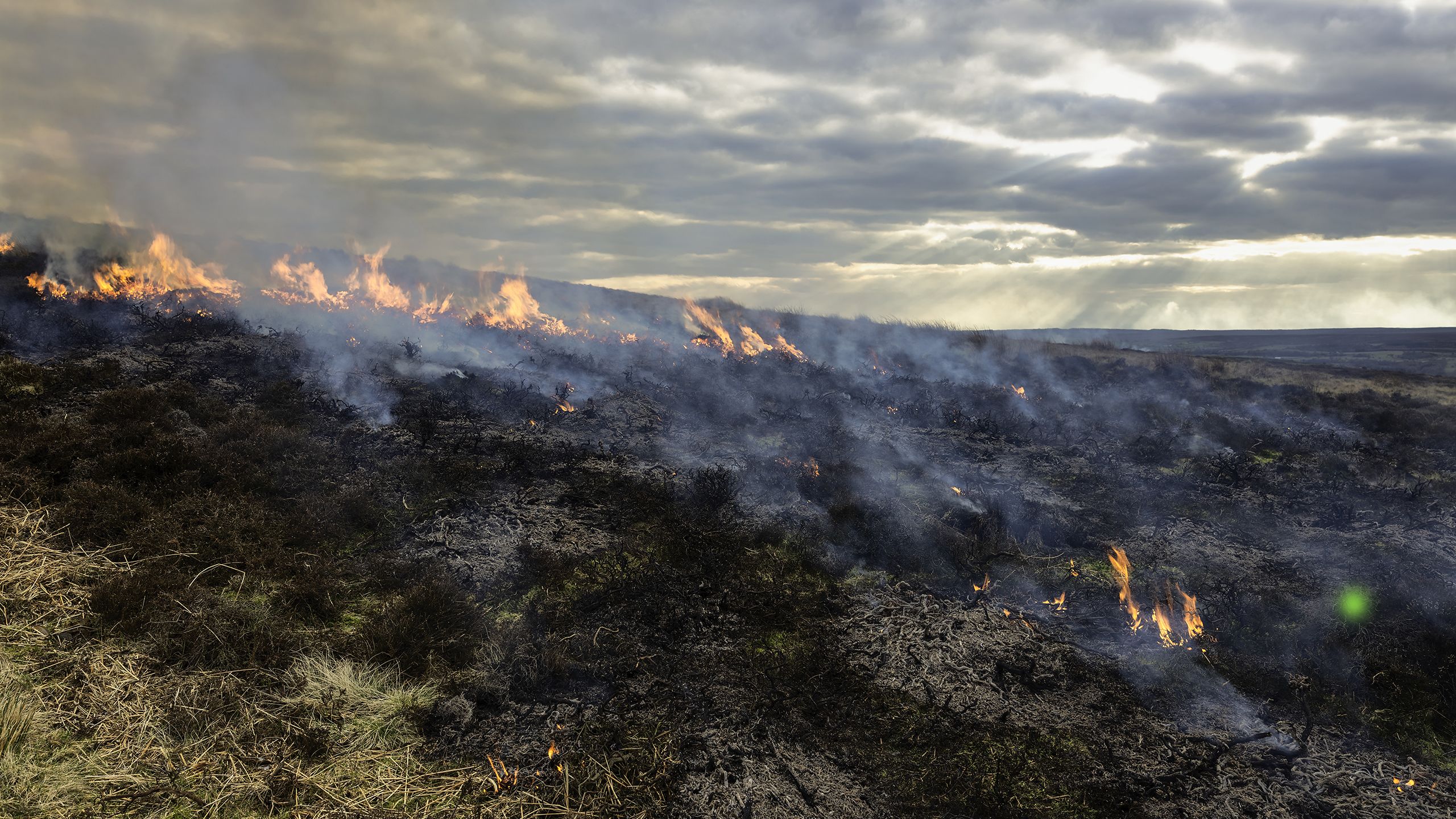 Flames engulf moorland during a dry spell along the North York Moors in late winter near Goathland, Yorkshire, UK