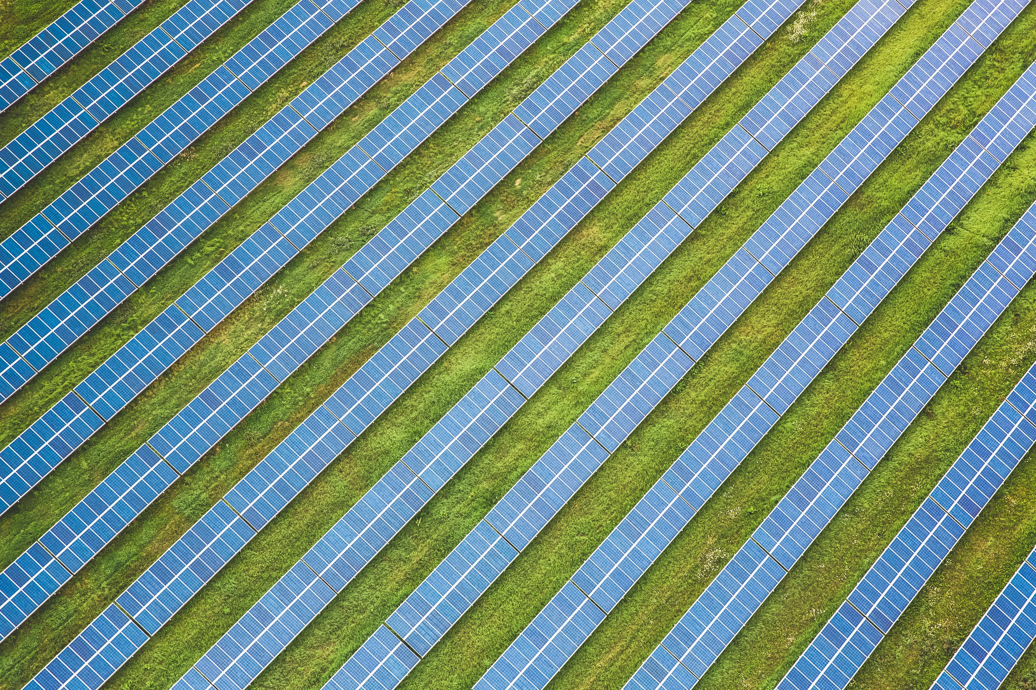 Lines of blue Solar panels on a green field 