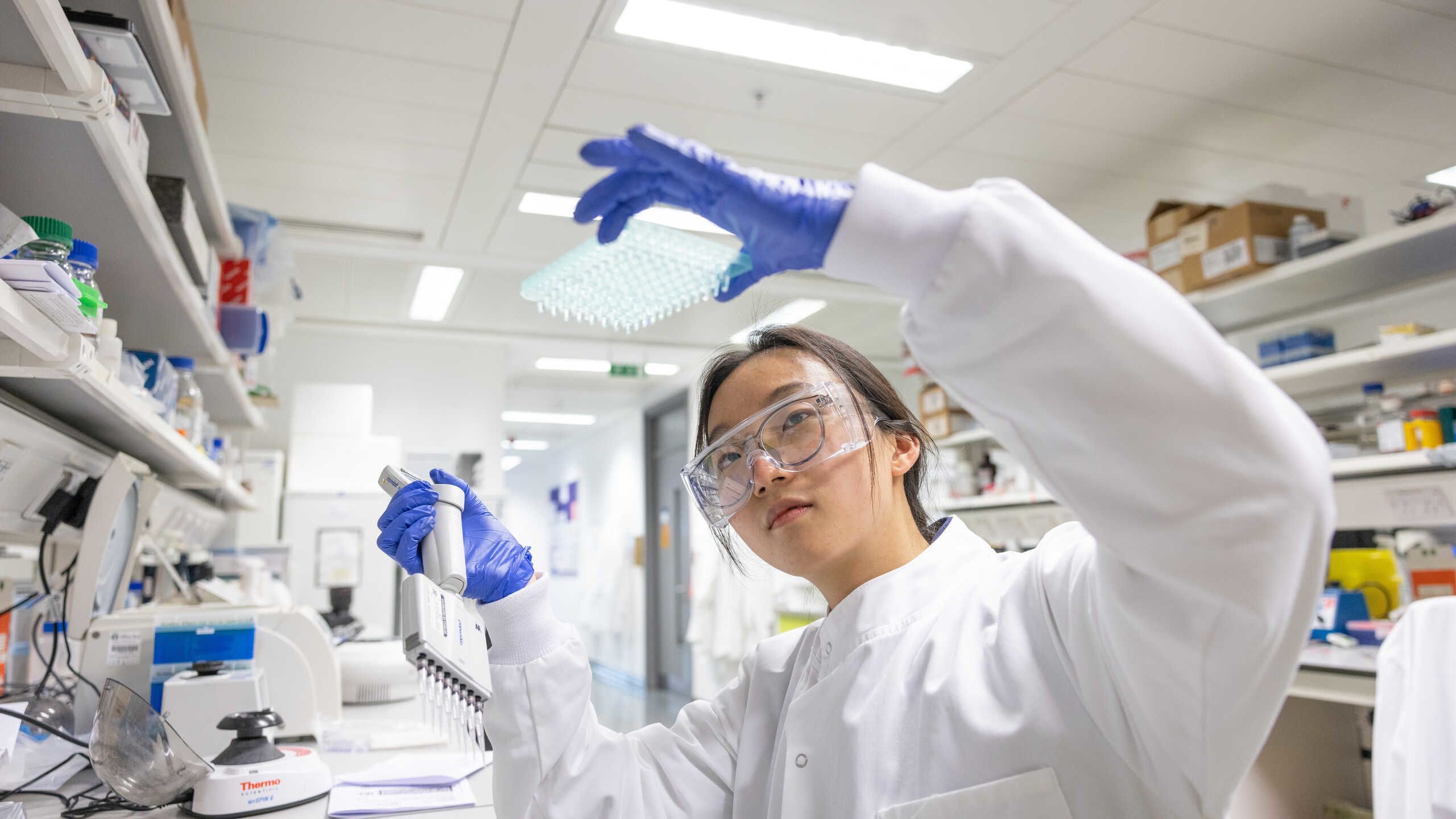 Student holds up a tray to look at in a laboratory