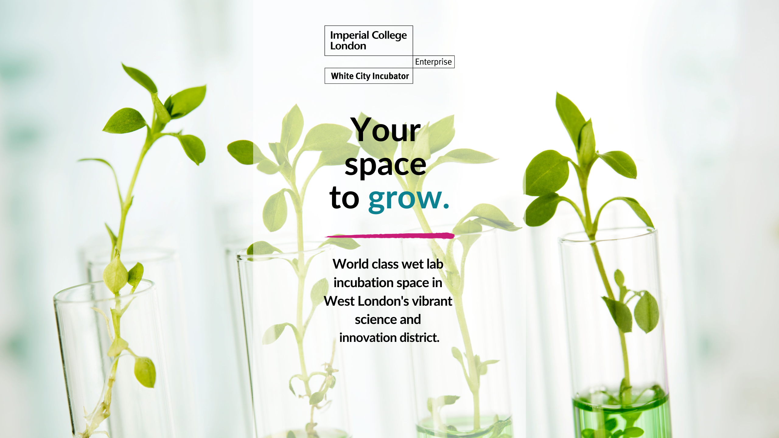 Your space to grow. World class wet lab incubation space in  West London's vibrant  science and  innovation district.