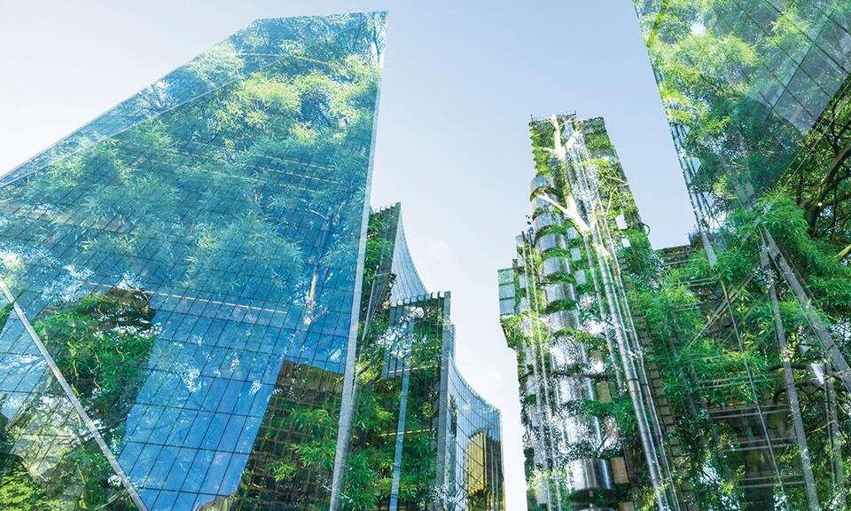View from bottom of Tall skyscrapers, looking up to the sky, an image of a forest overlays the buildings, appearing to 'reflect' greenery