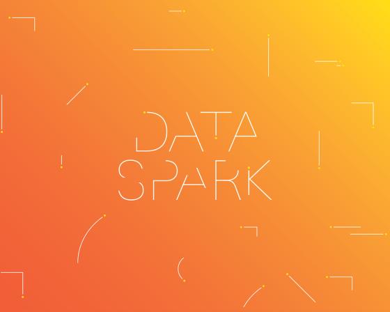Data Spark image 