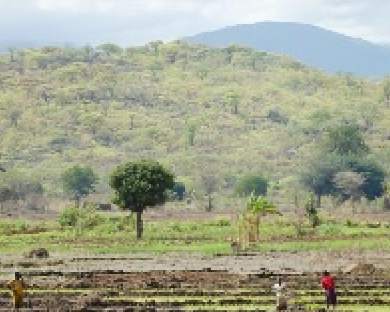 Photo of farmers working in Tanzania 