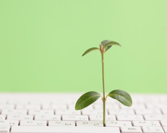 Leaf growing from keyboard