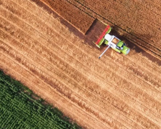 An aerial shot of a combine/tractor harvesting grain 