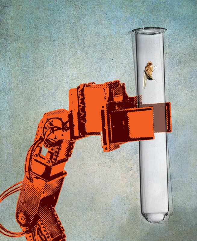 An illustration of a fruit fly in a test tube held by a robotic arm
