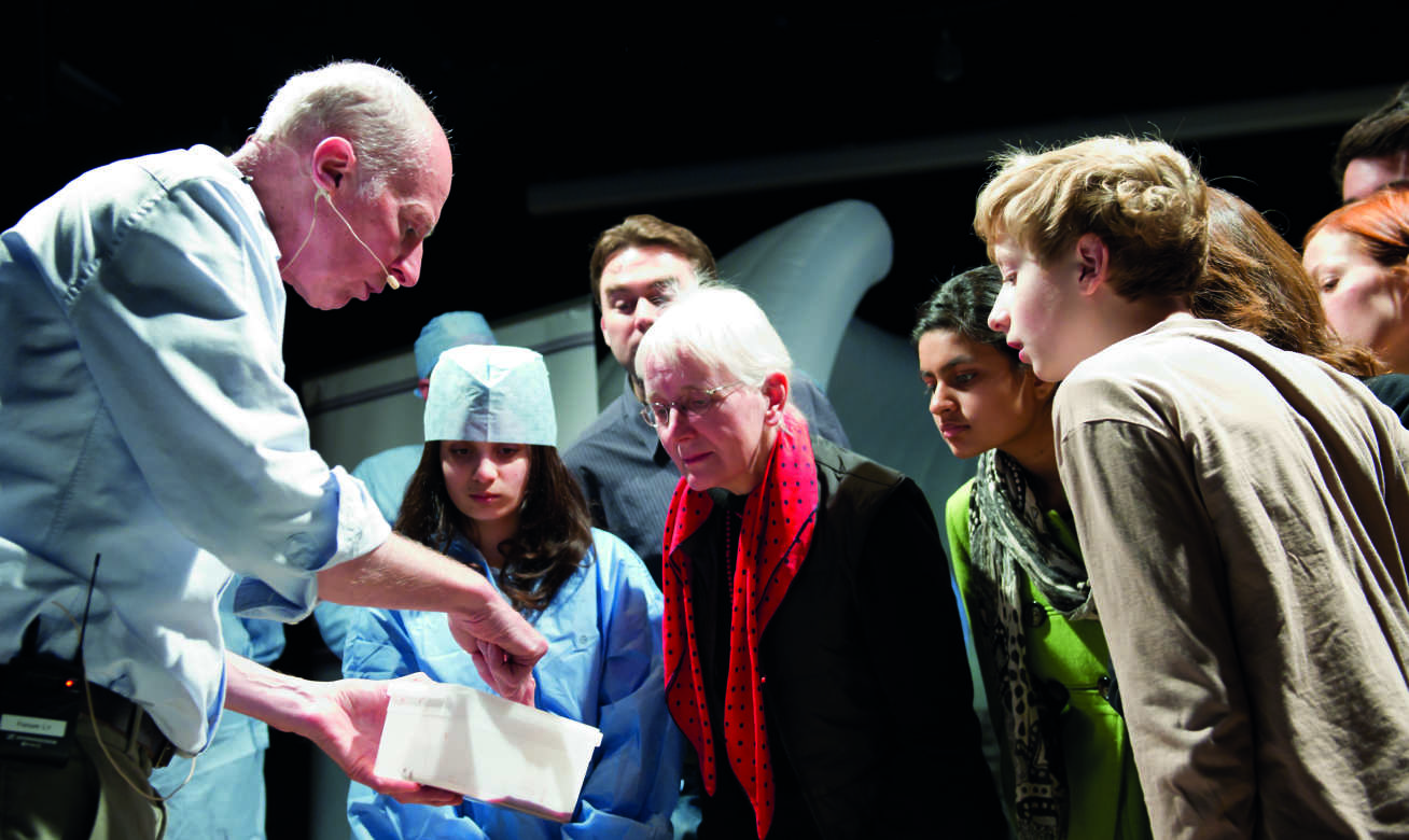 Professor Kneebone shows visitors pig liver and gall bladder 