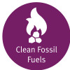 Clean Fossil Fuels