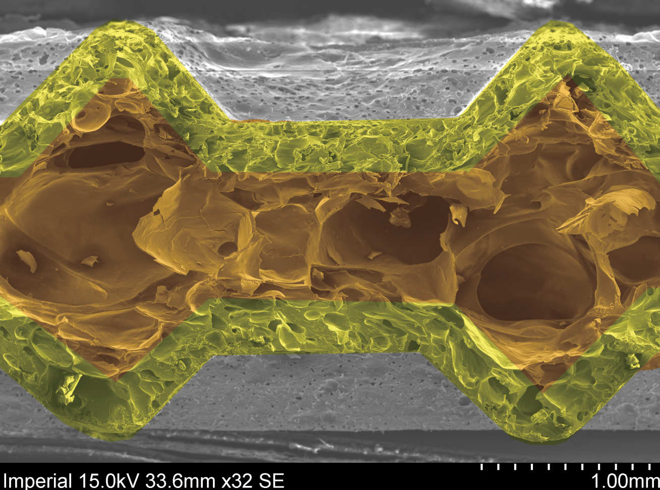 Scanning Electron Micrograph of the cross-section of a confectionery wafer showing its sandwich structure