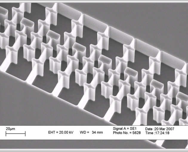 Fig. 3. SEM micrograph of comb drive structure