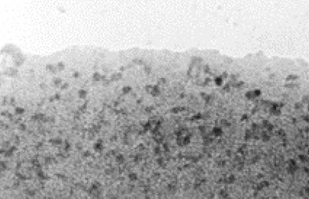 TEM photograph of CdS semiconductor 
