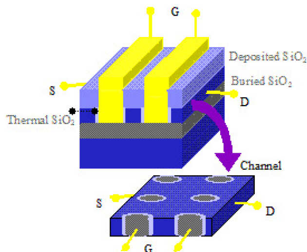 Schematic configuration of embedded-gate 3D nano-FET