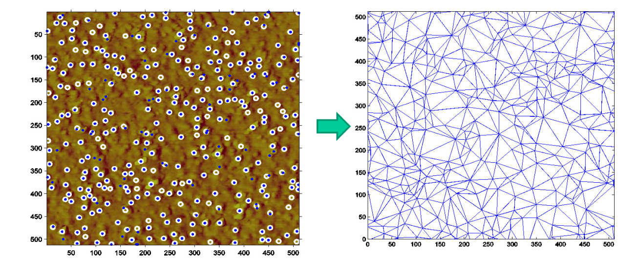 Calculating the area disorder of silica nanoparticles from an atomic force microscope (AFM) image. 