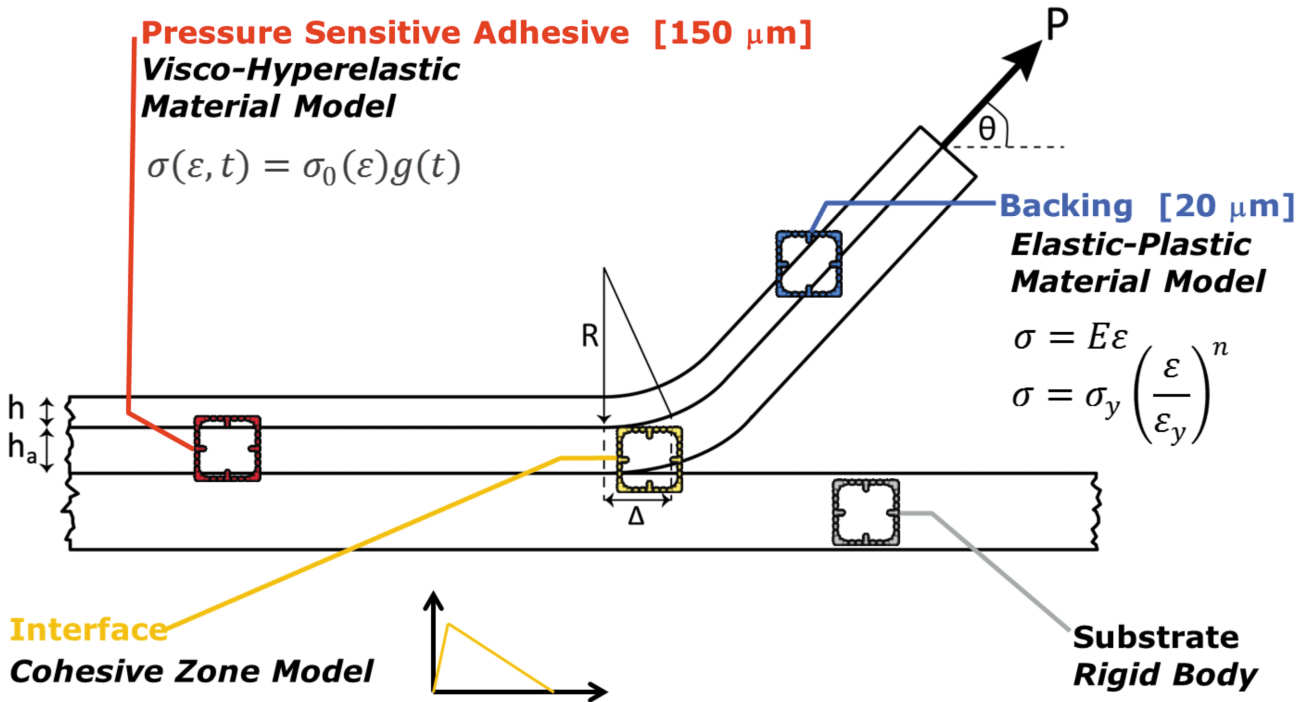 Shear Dynamic Mechanical Analysis of a pressure-sensitive adhesive and a schematic of the peeling model with the four main components
