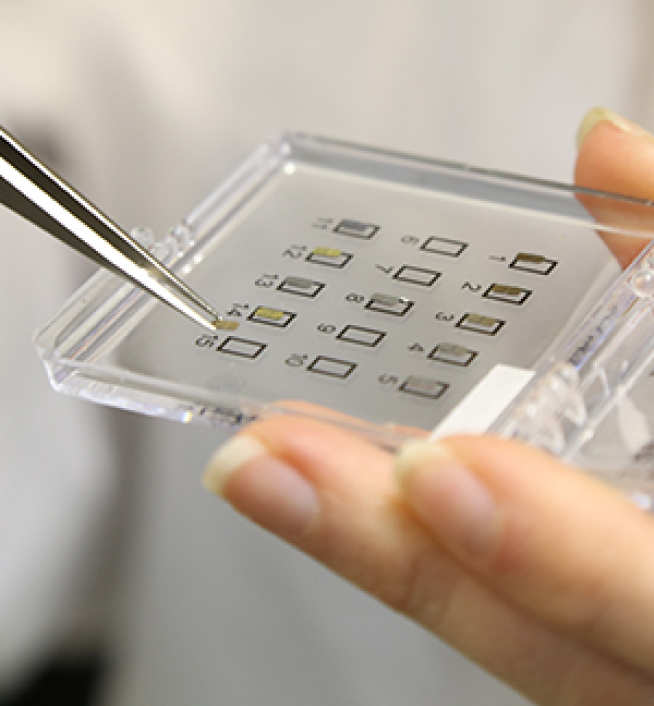 SPM tips used in Raman Spectroscopy