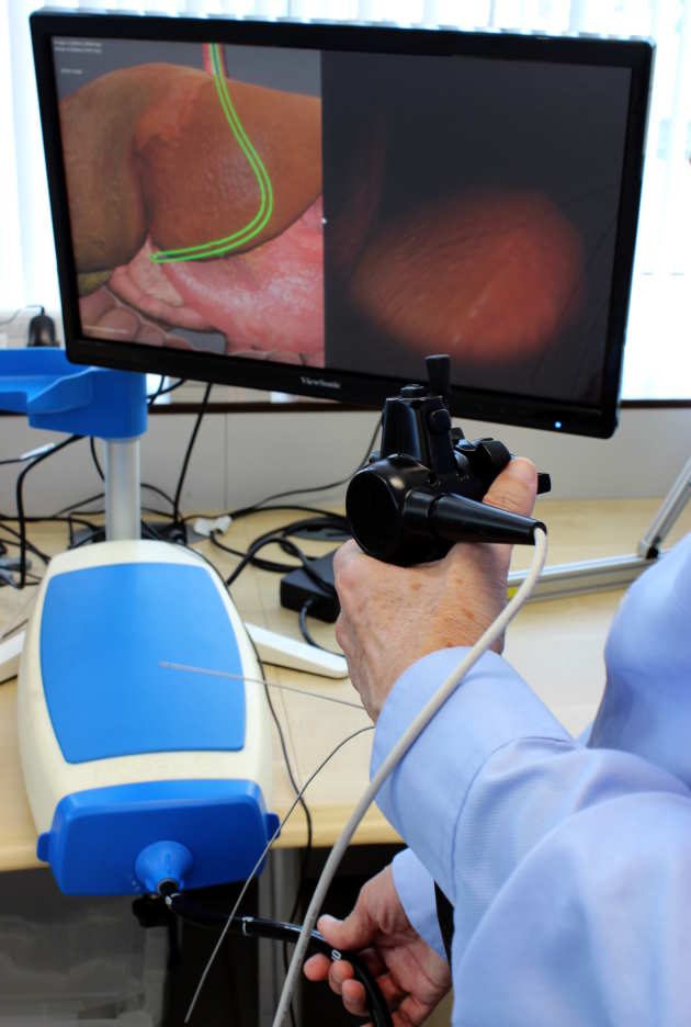 Natural Orifice Endoscopic Surgery Simulator in use