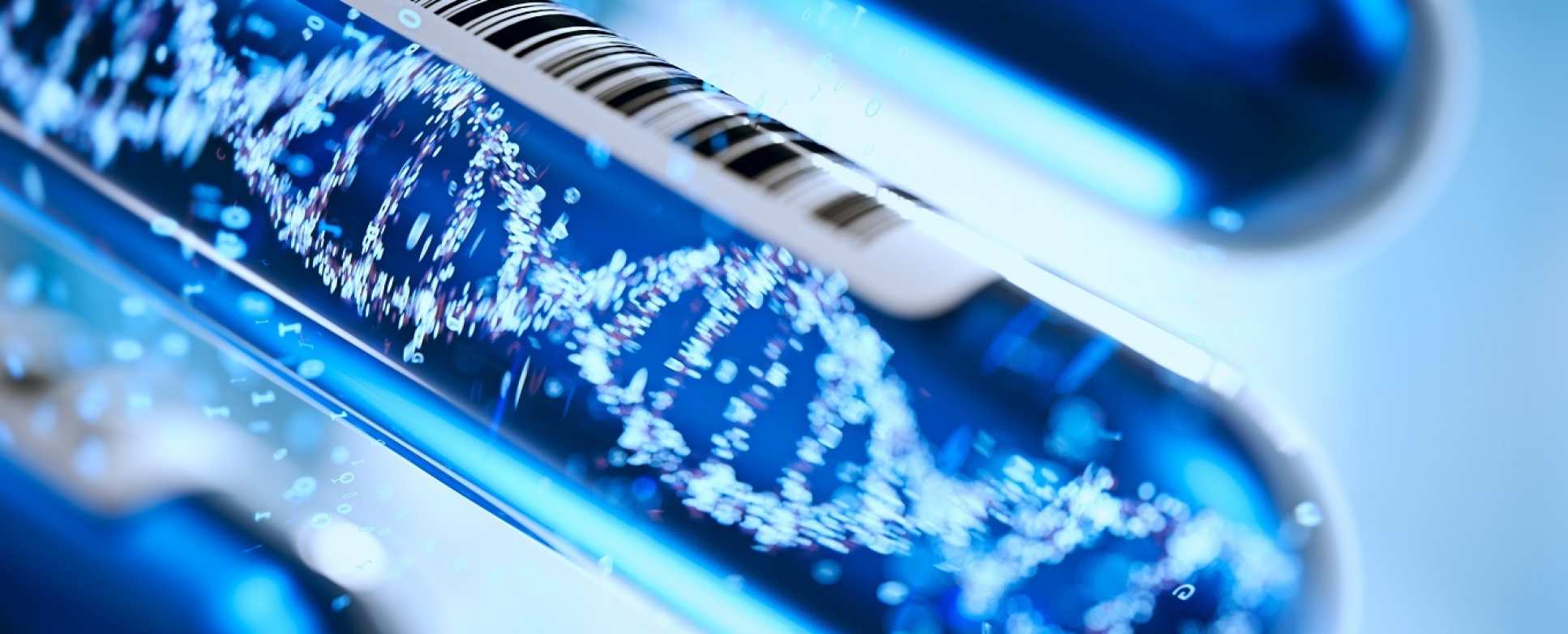 Molecule DNA Forming Inside Test Tube